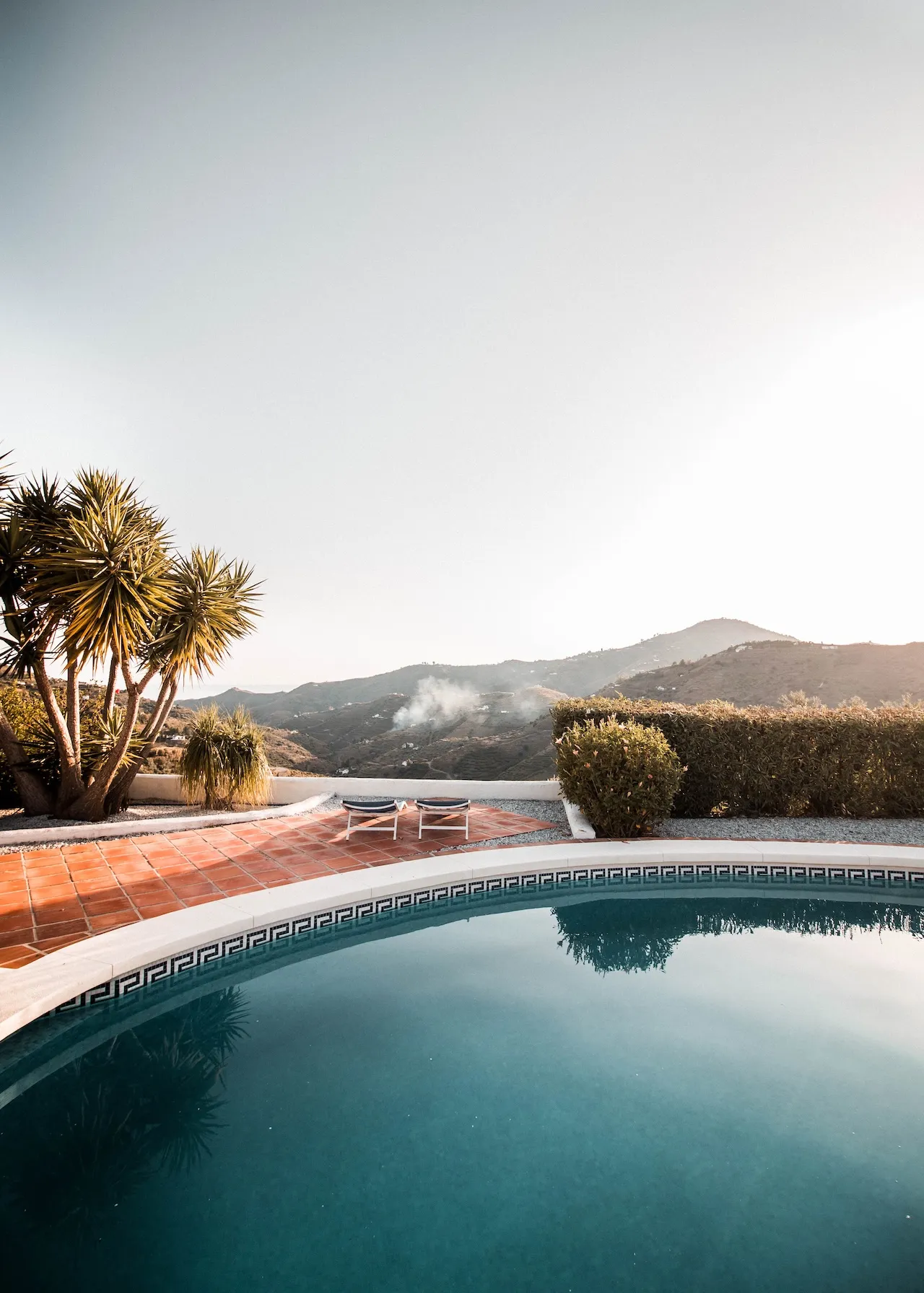 Blog 6 scenic pool on a hill with palm trees
