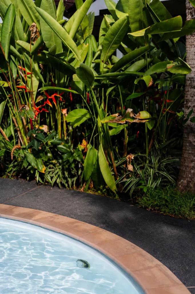 Backyard pool area with tropical plants beside a spa installation setting in Riverside CA